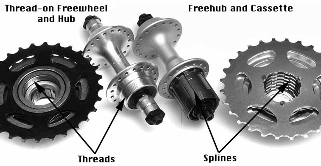 http://www.velolife.by/img/articls/75_freewheel-vs-k7.jpg